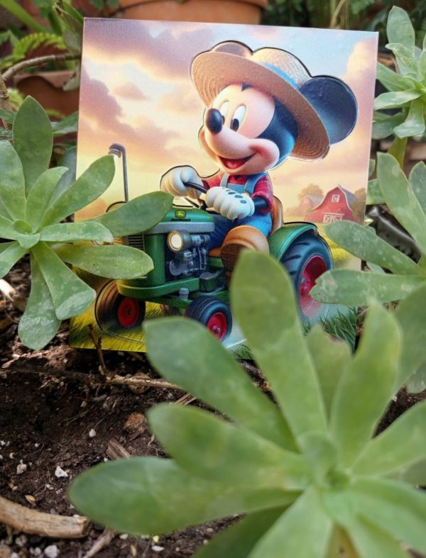 Ξύλινη πρόσκληση βάπτισης αγρότης Mickey - Image 10